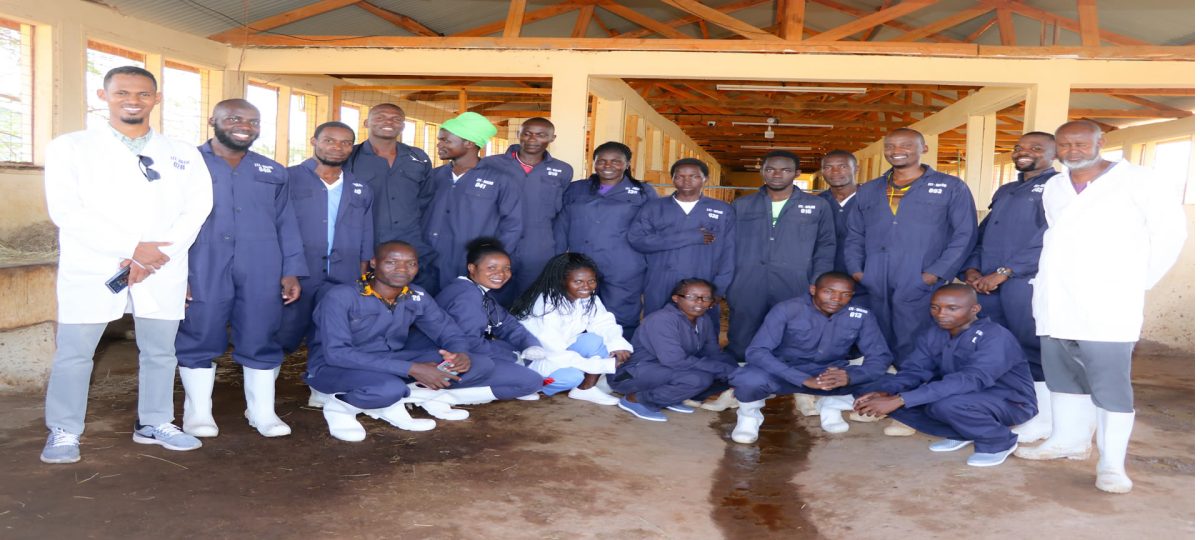 Wajir Technical Institute