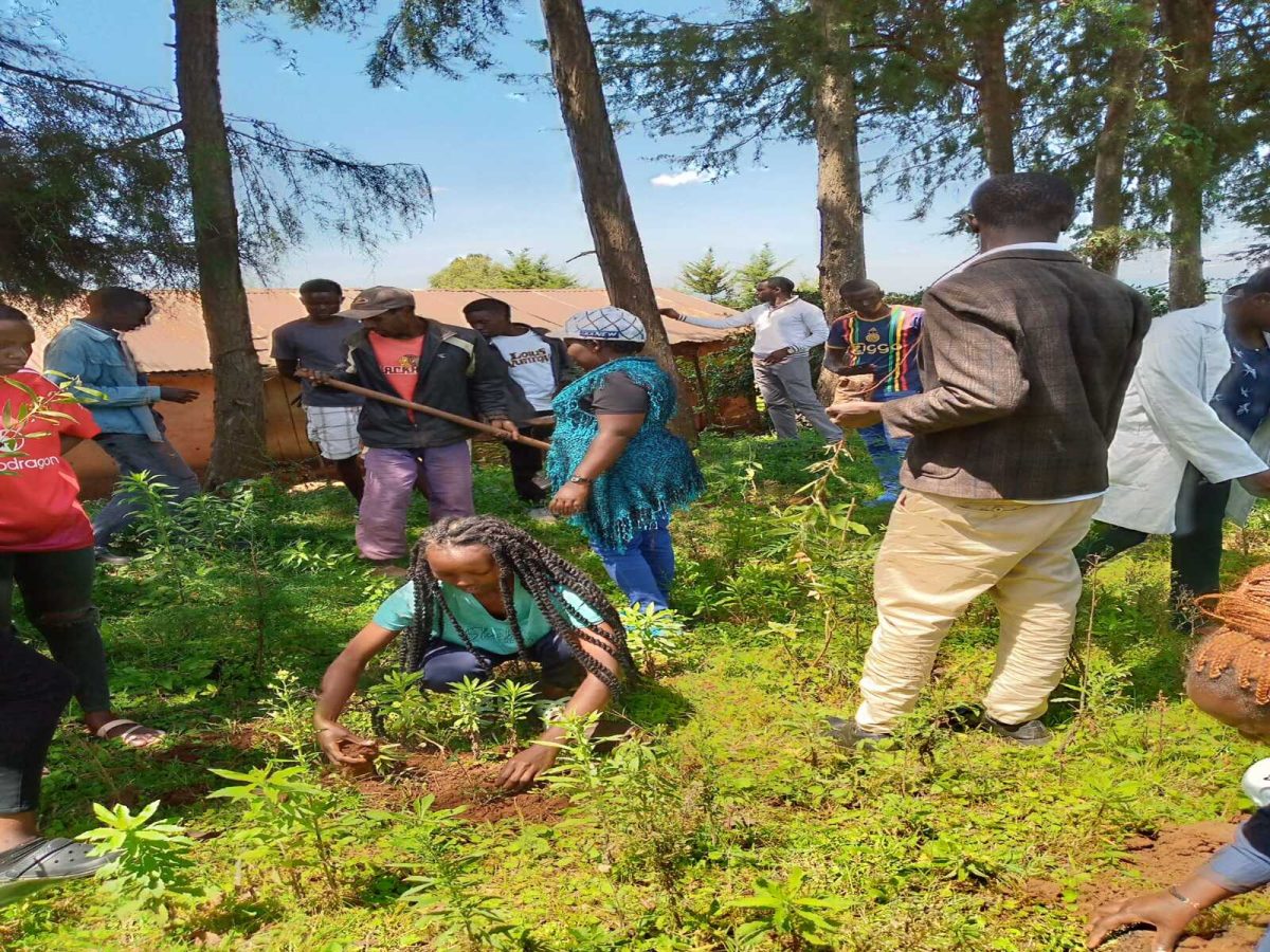 Kapsabet Technical College